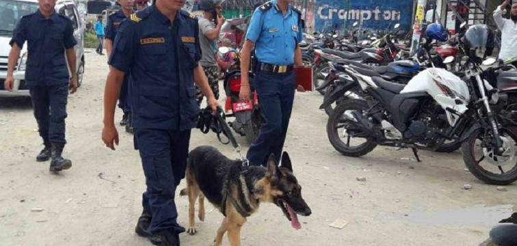 दशैंतिहारमा हातहतियार रोक्न उपत्यकाका प्रमुख नाकामा प्रहरीको ‘डग स्निफिङ’ कार्यक्रम