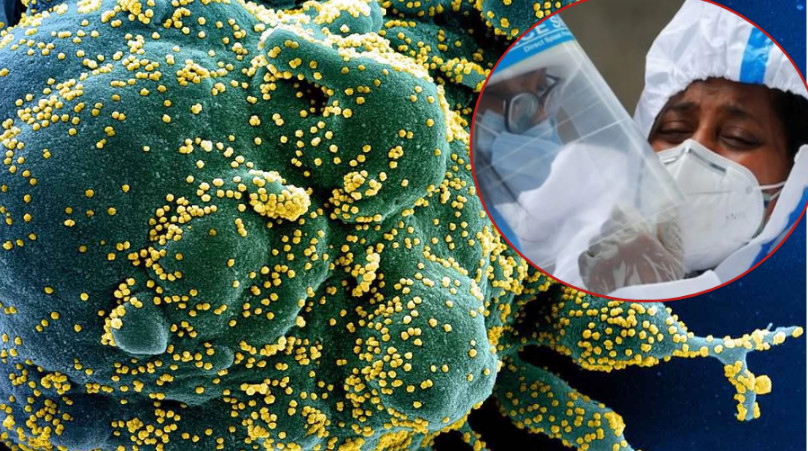 विश्वभर थपिएका नयाँ कोरोना संक्रमितको सङख्या कति ?