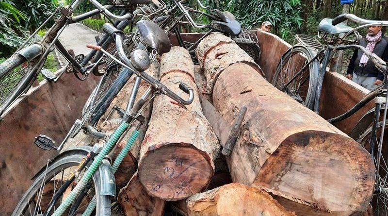 तस्करहरुले सुरु गरे काठ तस्करीको नयाँ तरिका, प्रहरी पनि छक्क !