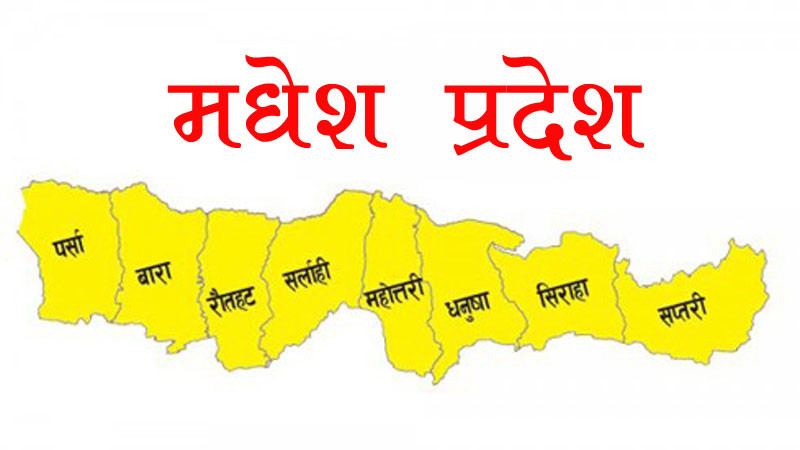 मधेशमा कांग्रेस नेतृत्वका लागि निधि पक्ष पनि प्रतिस्पर्धामा,कस्ले मार्ला बाजी ?